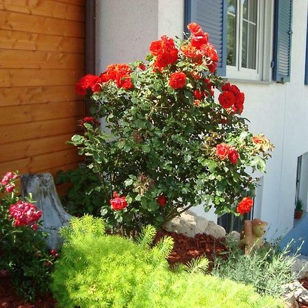 Ferienwohnung Weiser Kressbronn am Bodensee Dış mekan fotoğraf