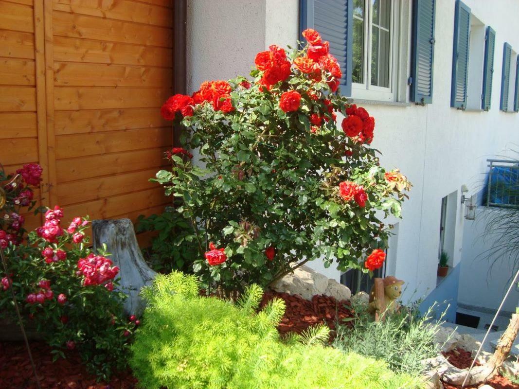 Ferienwohnung Weiser Kressbronn am Bodensee Dış mekan fotoğraf